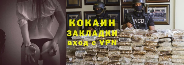 гашик Пестово