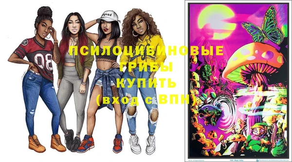 гашик Пестово