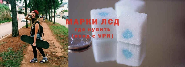 гашик Пестово