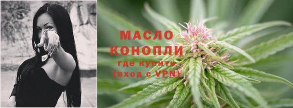 гашик Пестово