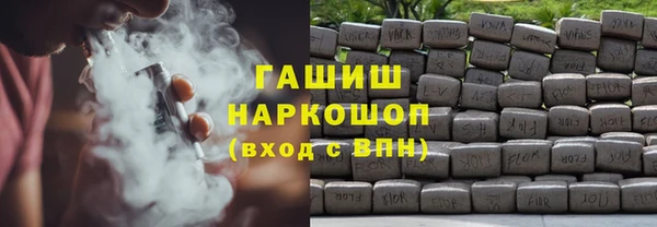 гашик Пестово