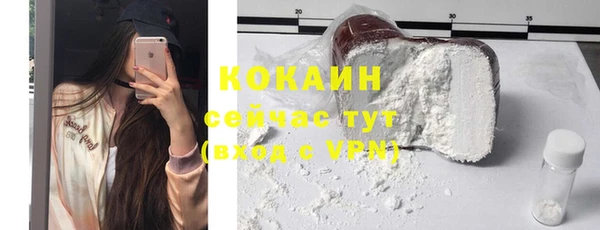 гашик Пестово