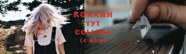 прущий лед Пересвет