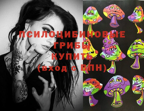 прущий лед Пересвет