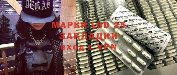 гашик Пестово