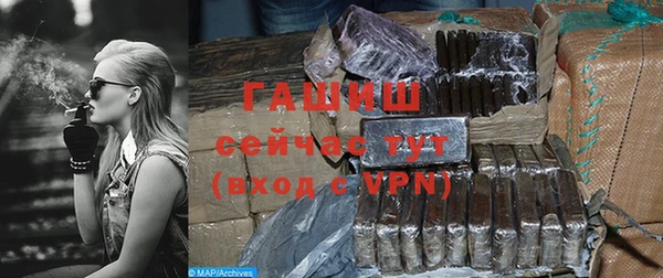 гашик Пестово