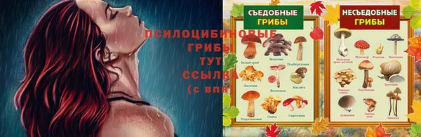 прущий лед Пересвет