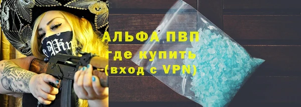 гашик Пестово