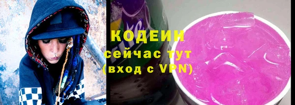гашик Пестово
