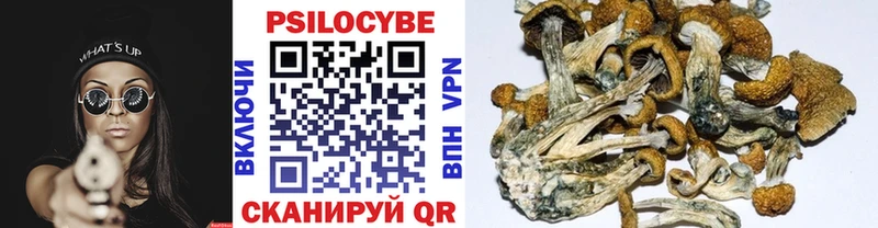 наркошоп  Новосибирск  Галлюциногенные грибы прущие грибы 