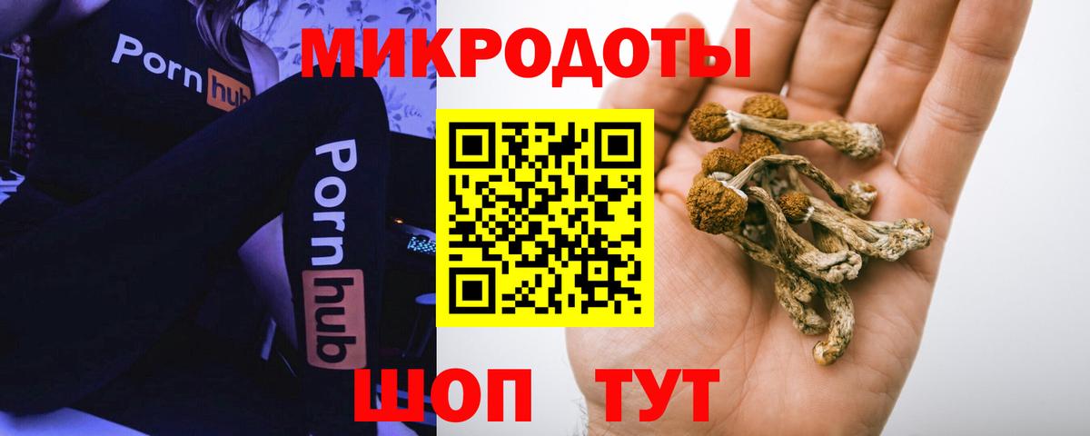 Галлюциногенные грибы MAGIC MUSHROOMS  Вход с VPN  Новосибирск 