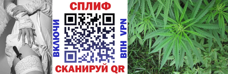 Каннабис MAZAR  наркотики  omg tor  Новосибирск 